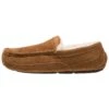 Ugg Ascot - Pantoffels - Cognac 1 Ugg Ascot - Pantoffels - Cognac -Ugg Verkoopwinkel f0b29fa0c3f64b78b1f6cda9f2ab2599